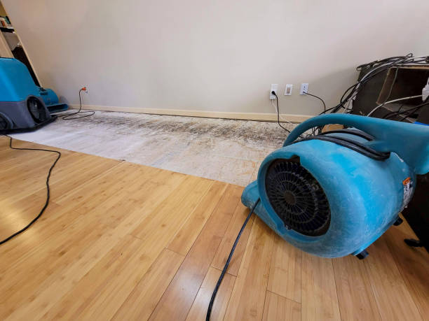 Professional Water Damage Repair technician working in Echola, AL